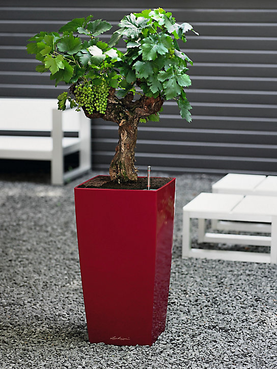 Pot carré Lechuza Premium rouge scarlet brillant 30 x 30 x h.56 cm