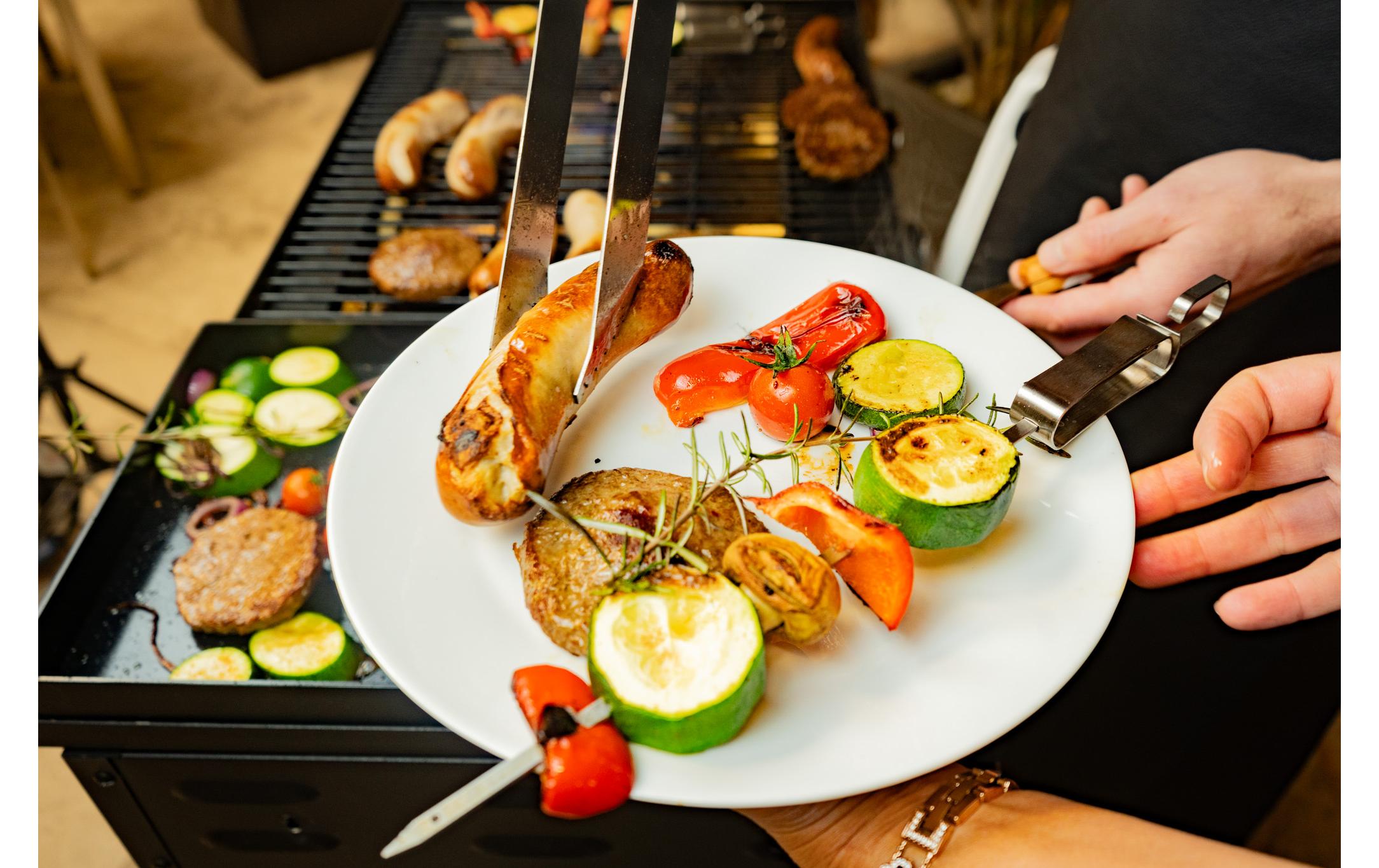 Gastrogrill Companion Pro<br>Der leistungsfähige und robuste Grill