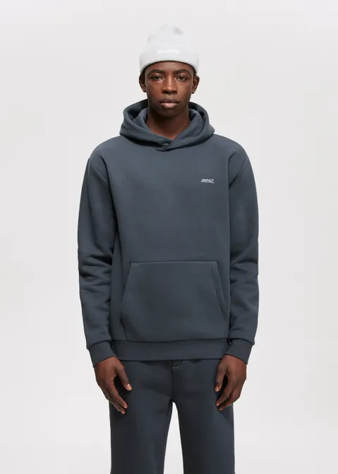 Hoodie met merk print grijs (GRS.CHA)
