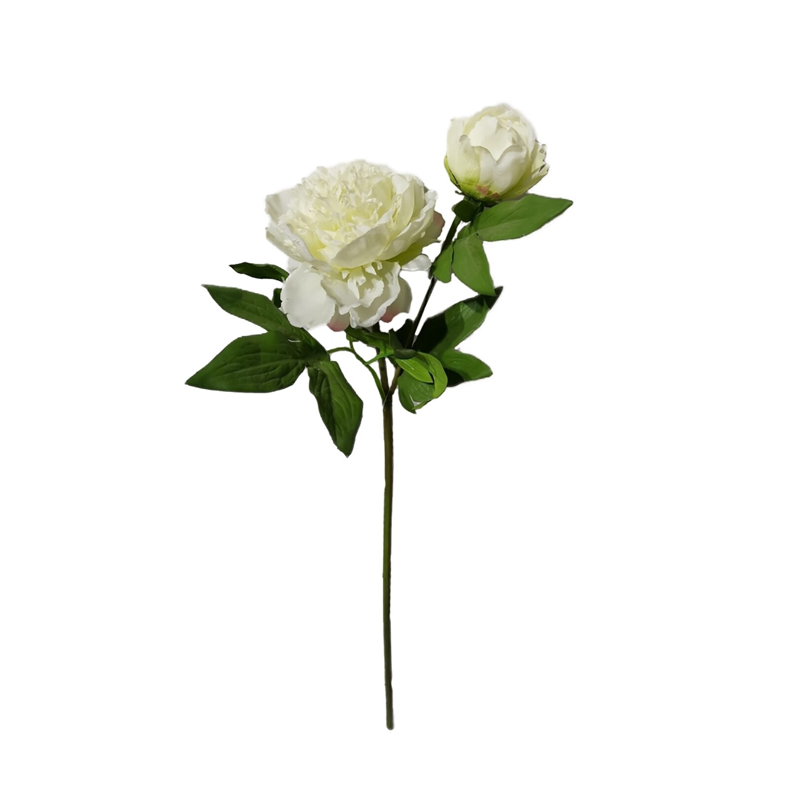 HTI-Living Pfingstrose 23 cm Kunstblume Flora