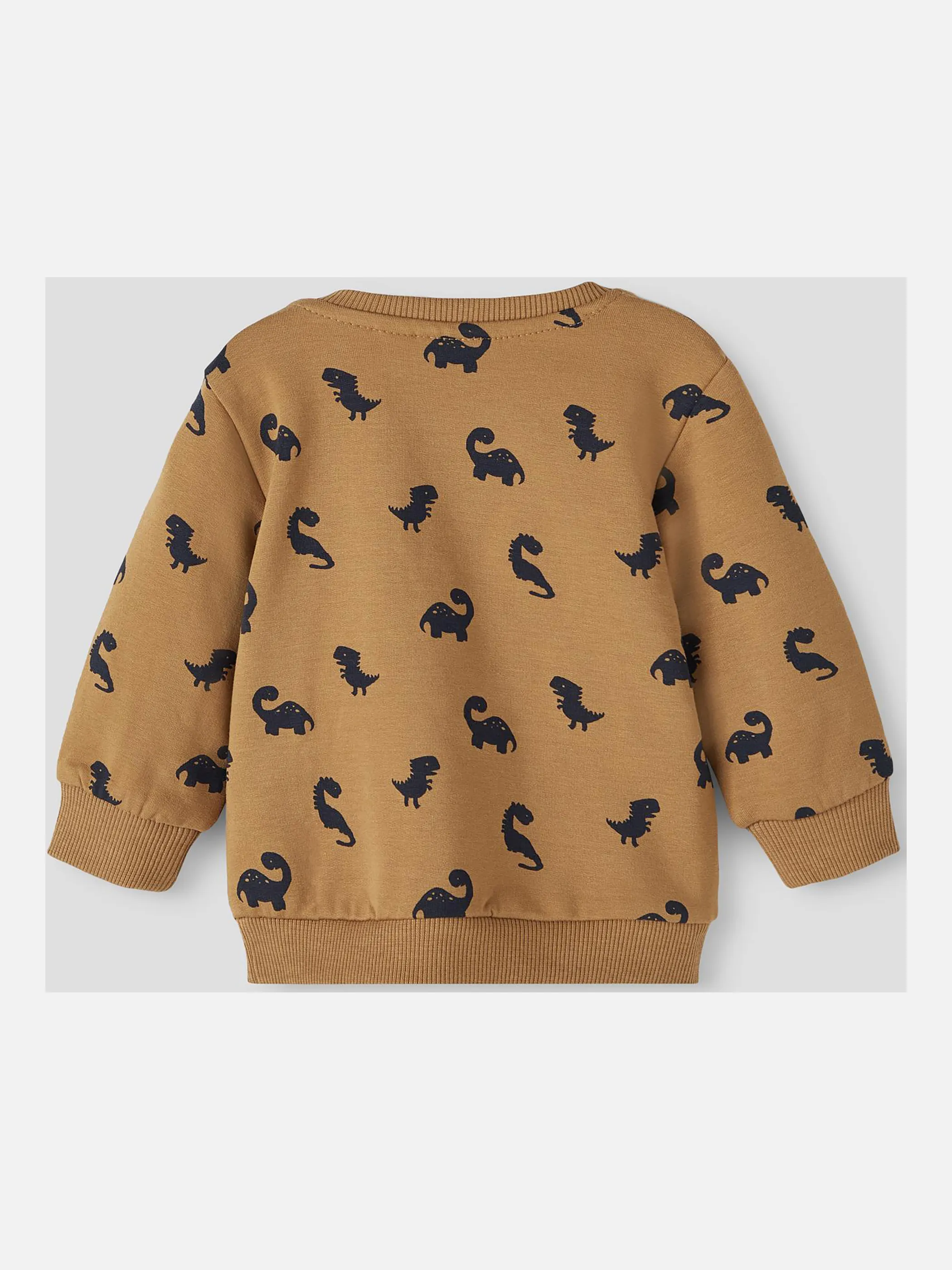 Jungen Sweatshirt mit Dinoprint