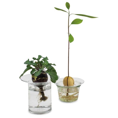 Aufsatz zu Vase Labor, Groß
