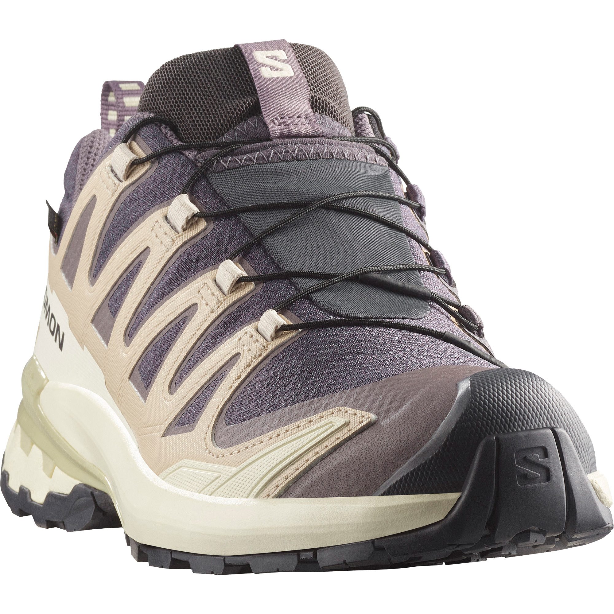 Salomon XA Pro 3D V9 GORE-TEX® Trailrunningschuhe Damen nine iron