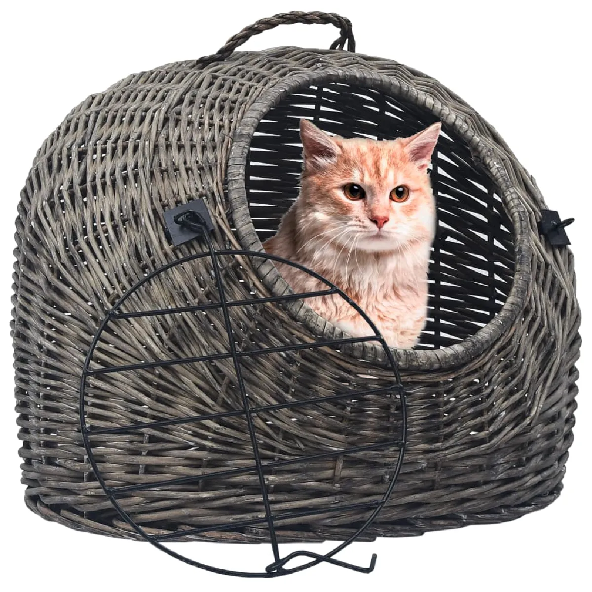 vidaXL Cage transport chats - 50x42x40 cm Saule naturel