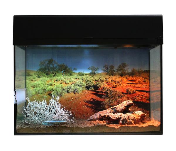 Lucky Reptile Terrarium Starter Kit