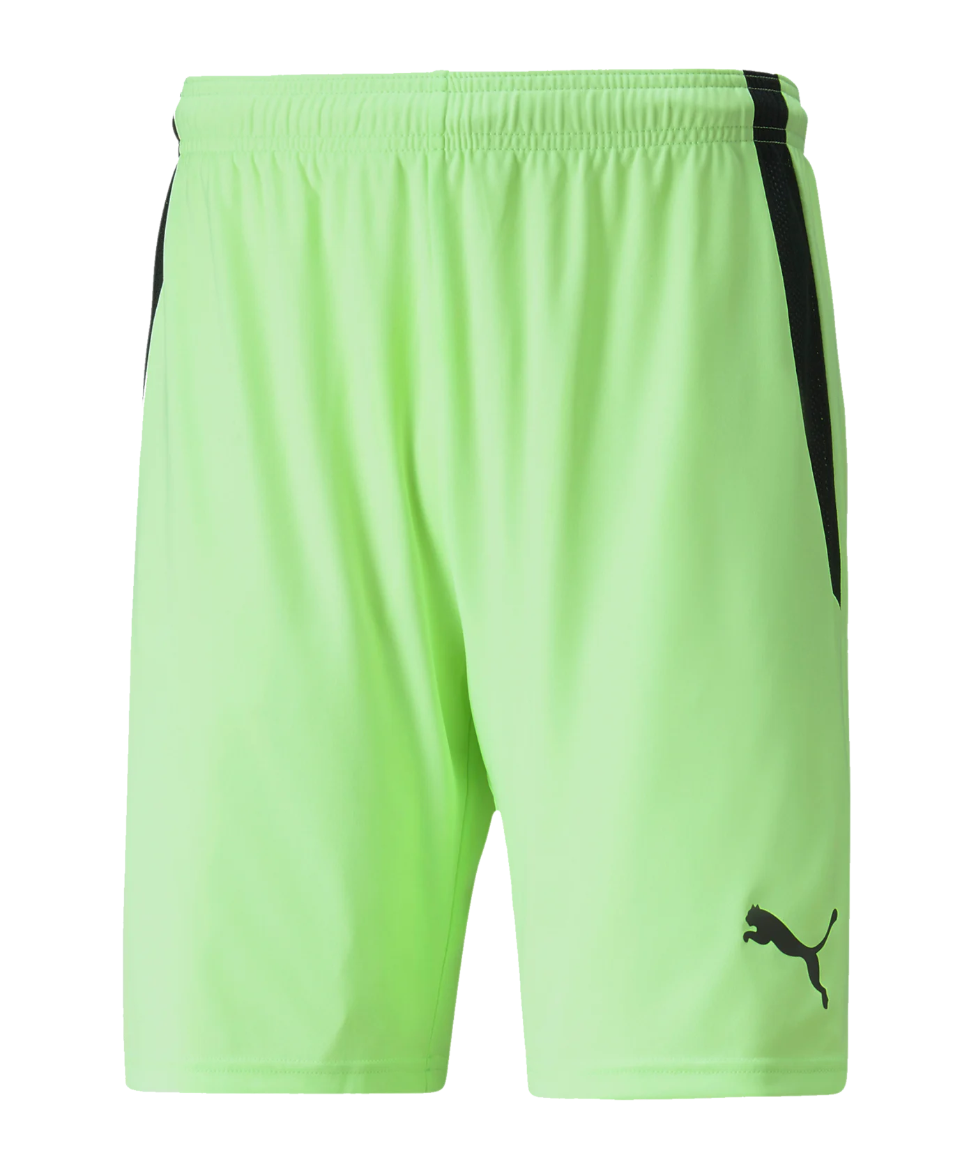 PUMA teamLIGA Short Grün Schwarz F20