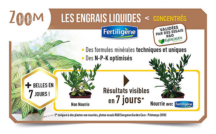 Engrais plantes fleuries géraniums Fertiligène 750ml