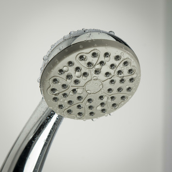Tiger douchekop Splash Como handdouche 1 stand ø 7.5 cm chroom