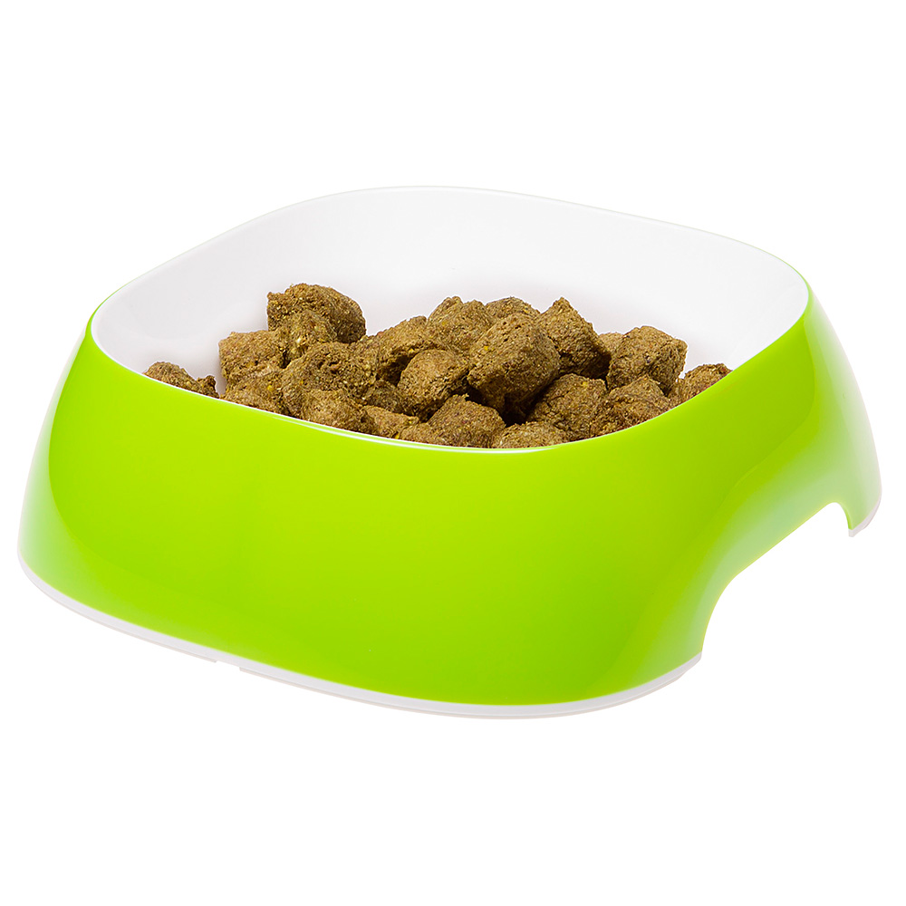 Gamelle glam large plastique chiens chats différentes tailles couleurs tendance pratique