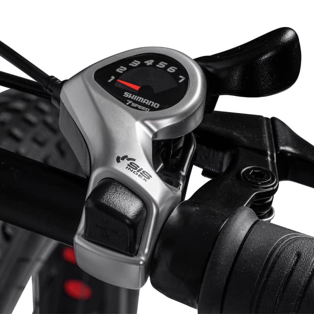 Swoop Fatbike 26