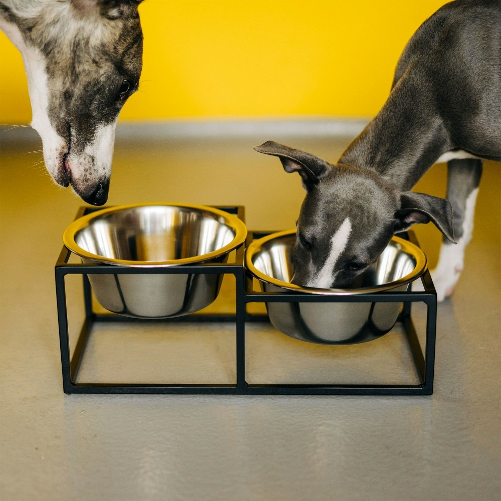 Kum - set de 2 gamelles surélevées pour chien en acier, socle filaire métal noir