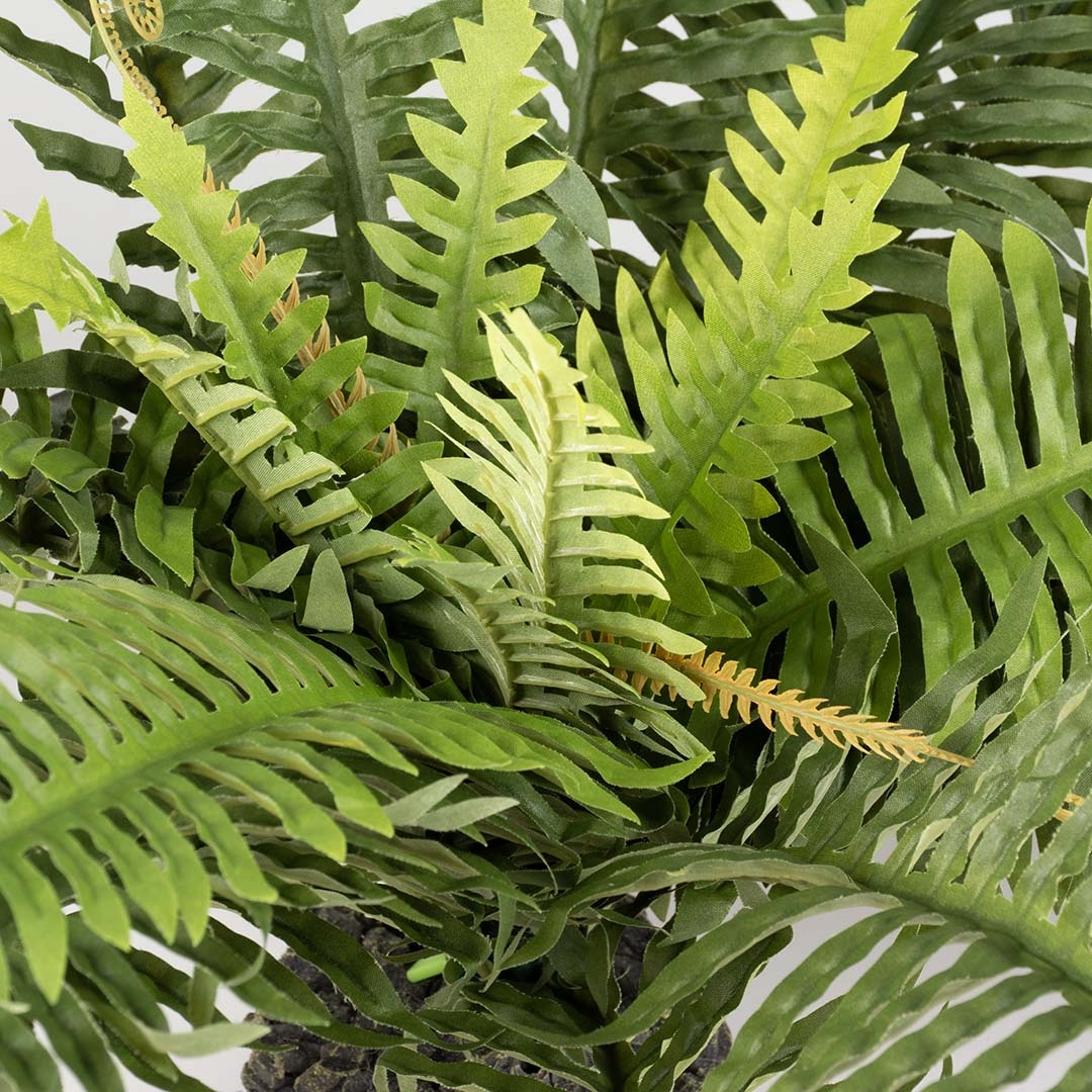 Aqua D'ella Realistische Kunstvaren voor Terrariums XL