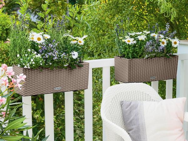 LECHUZA® Kunststoff-Kasten Balconera Cottage,