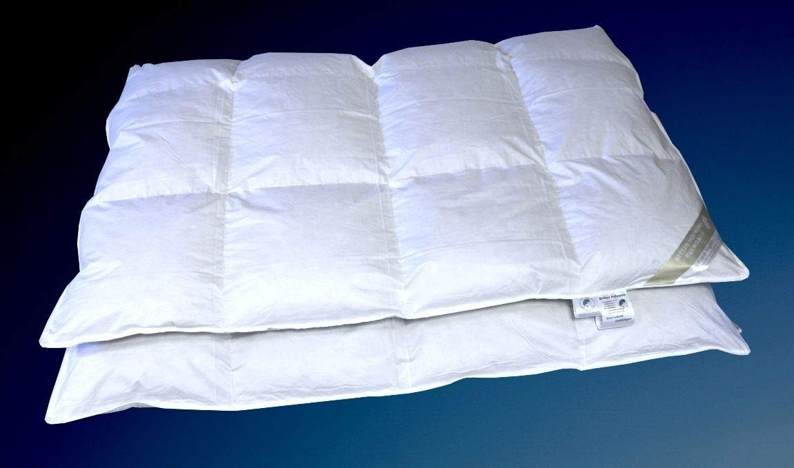 Betten Hofmann Franken 8cm Hochsteg Winterbett Daunenbett Daunendecke 4x6 135x200 cm, 1080g Füllung, warme Winterdecke, Naturprodukt