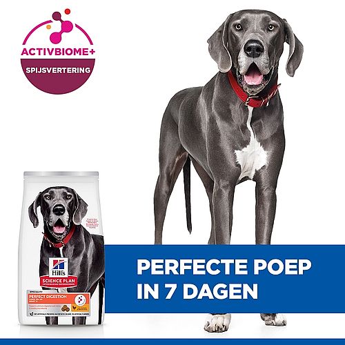 Hill's Science Plan Canine Adult Perfect Digestion Hondenvoer Large Breed 14 kg | 11801