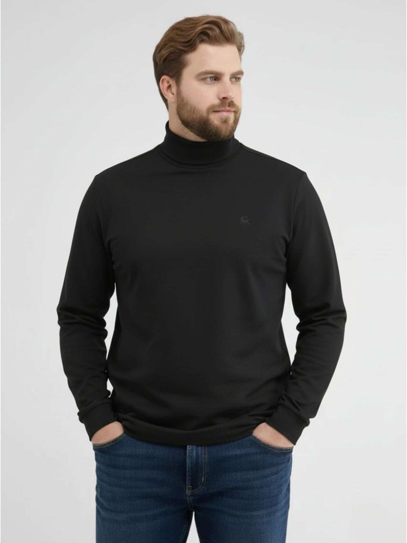 Langarmshirt mit Rollkragen in Übergrößen