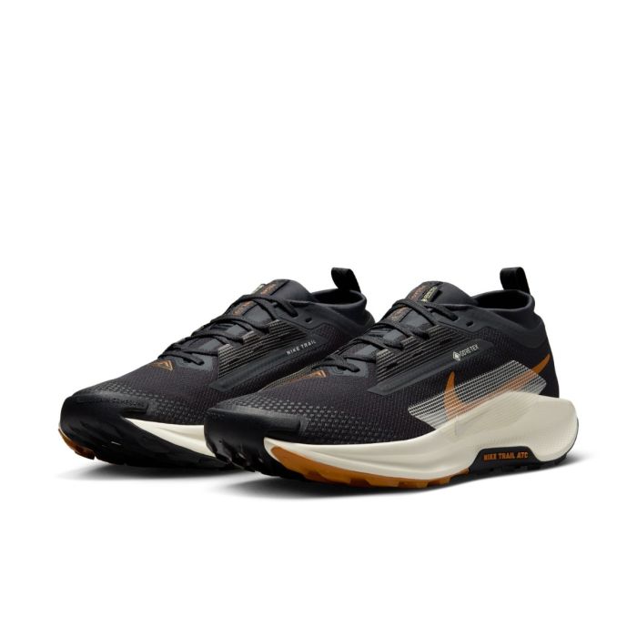Nike Herre Trailsko Pegasus Trail 5 Gore-Tex Sort