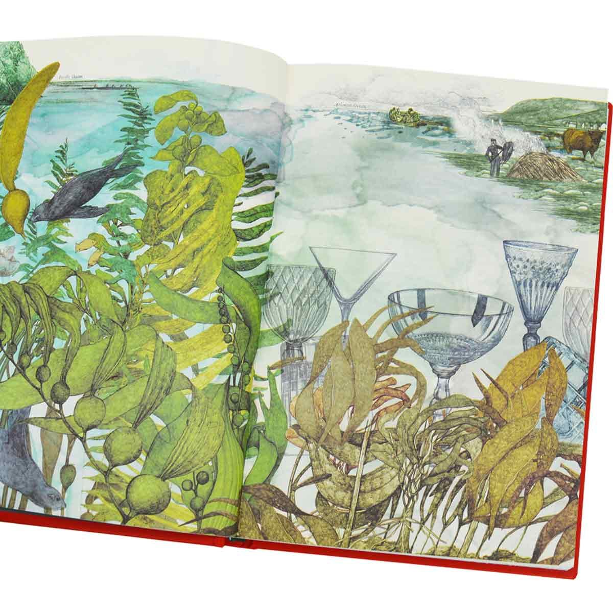 Around the World in 80 Plants (Hardback)