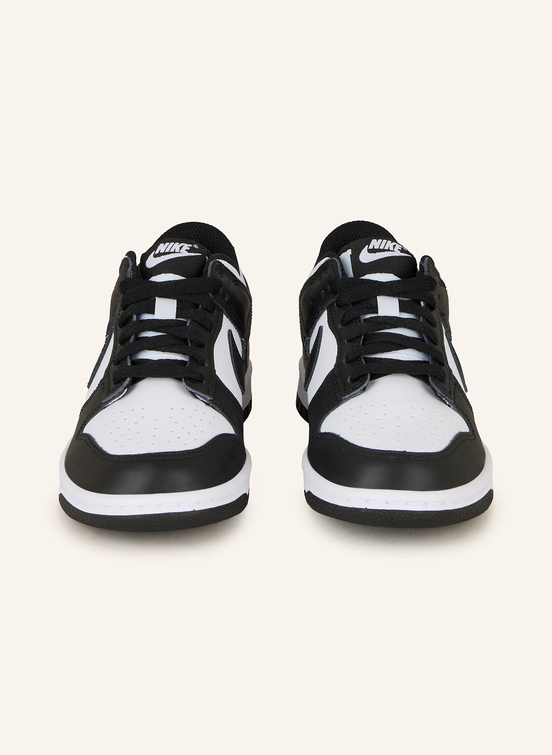 Nike Sneaker DUNK
