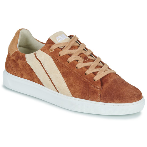 Caval - SLASH BROWN COFFEE - Marron / Beige