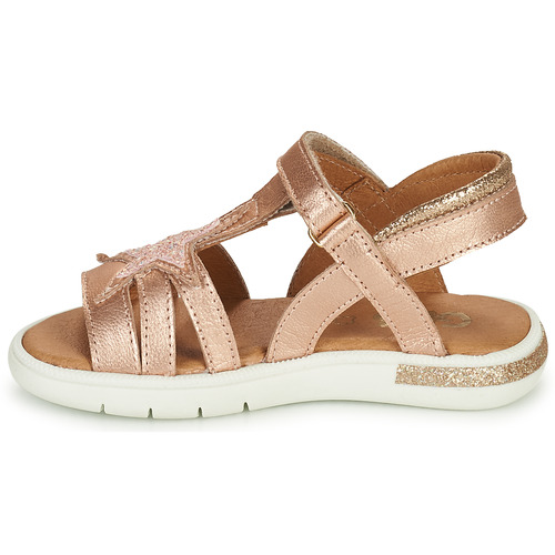 GBB - SATY - Rose