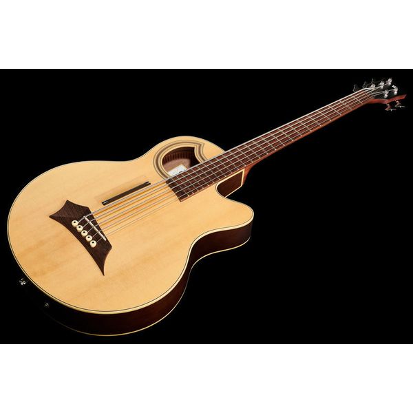 Warwick Alien Deluxe 5 Hybrid Thinline