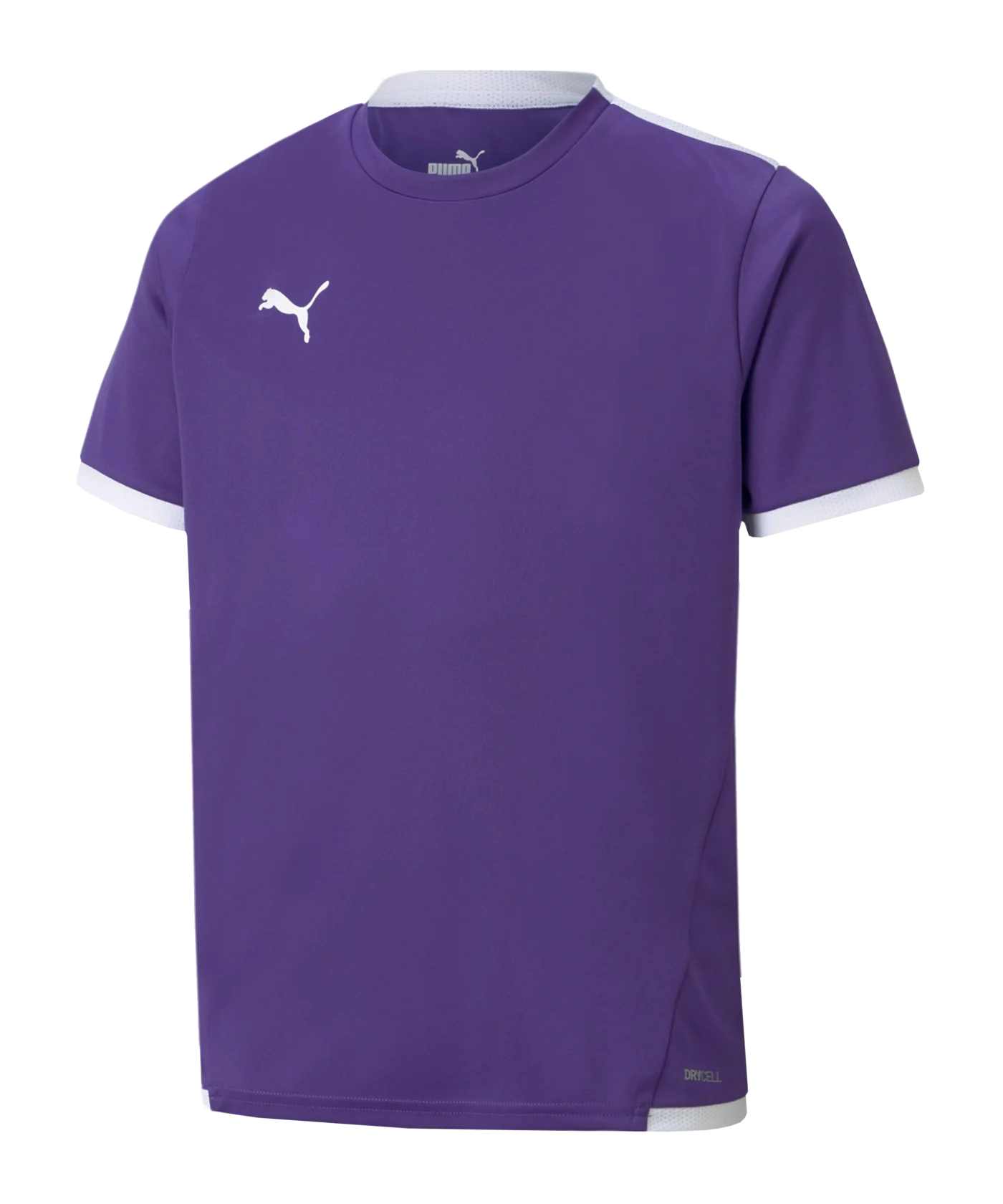PUMA teamLIGA Trikot Kids Lila F10