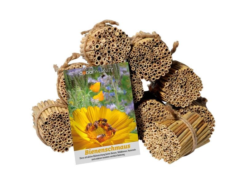 dobar green label Schilfrohrhalme-Set, 1000 Stück, 9 cm Füllmaterial für Insektenhotels
