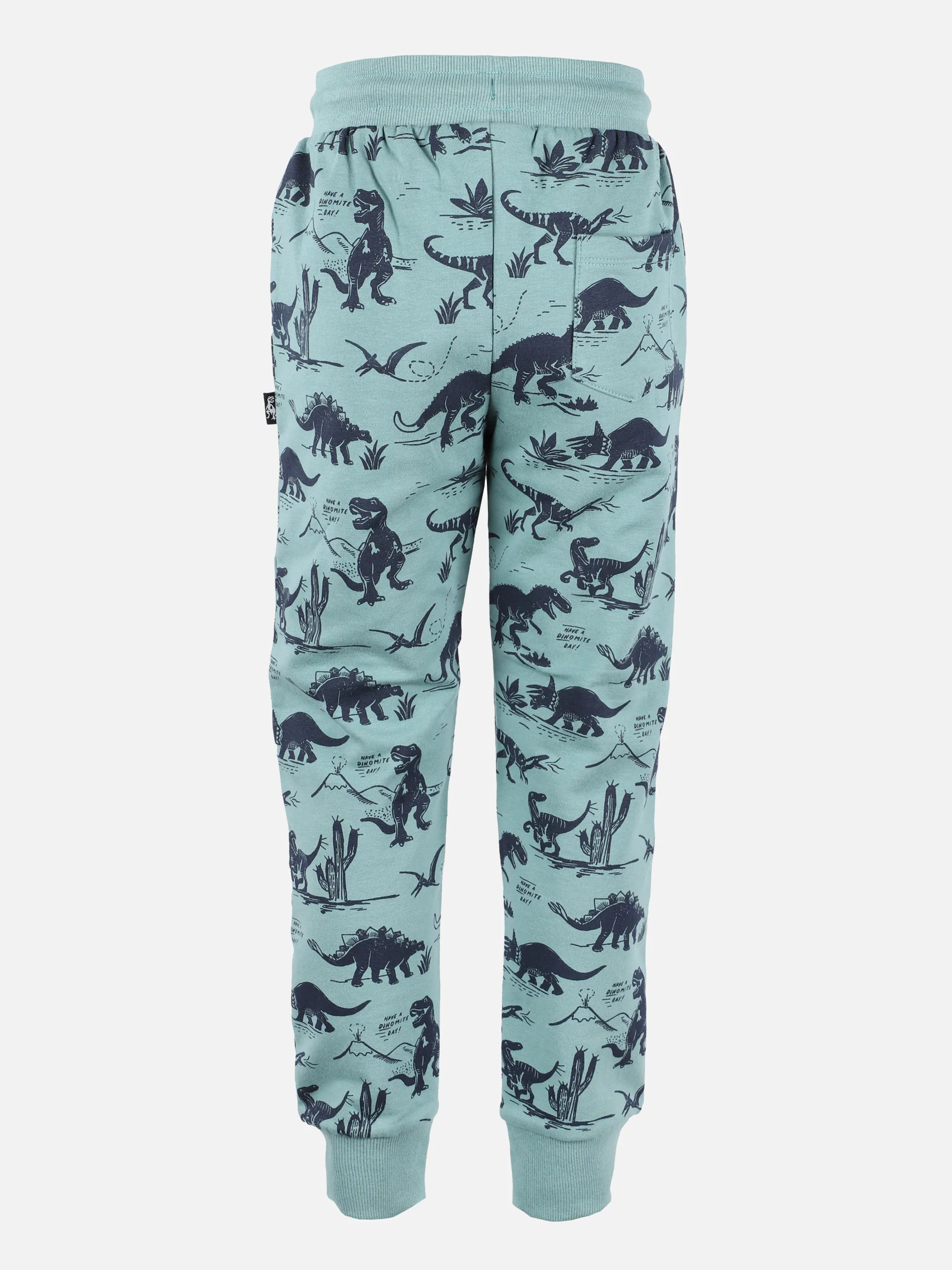 Jungen Jogginghose mit Dinomotiven