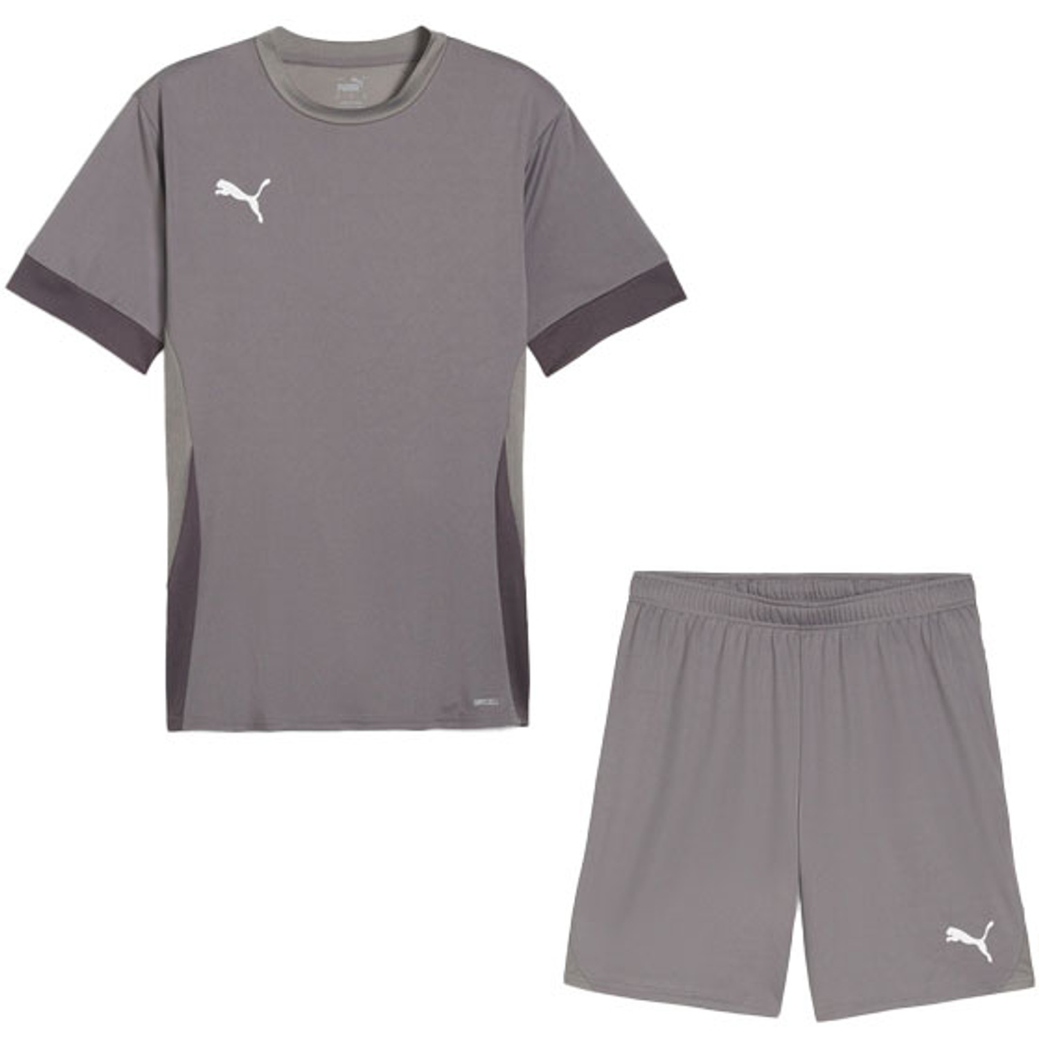 Puma Liga Trainingsset