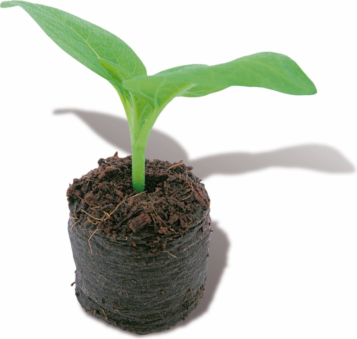 Sogo growplugs aardetabletten D 3,5 cm 48 stuks
