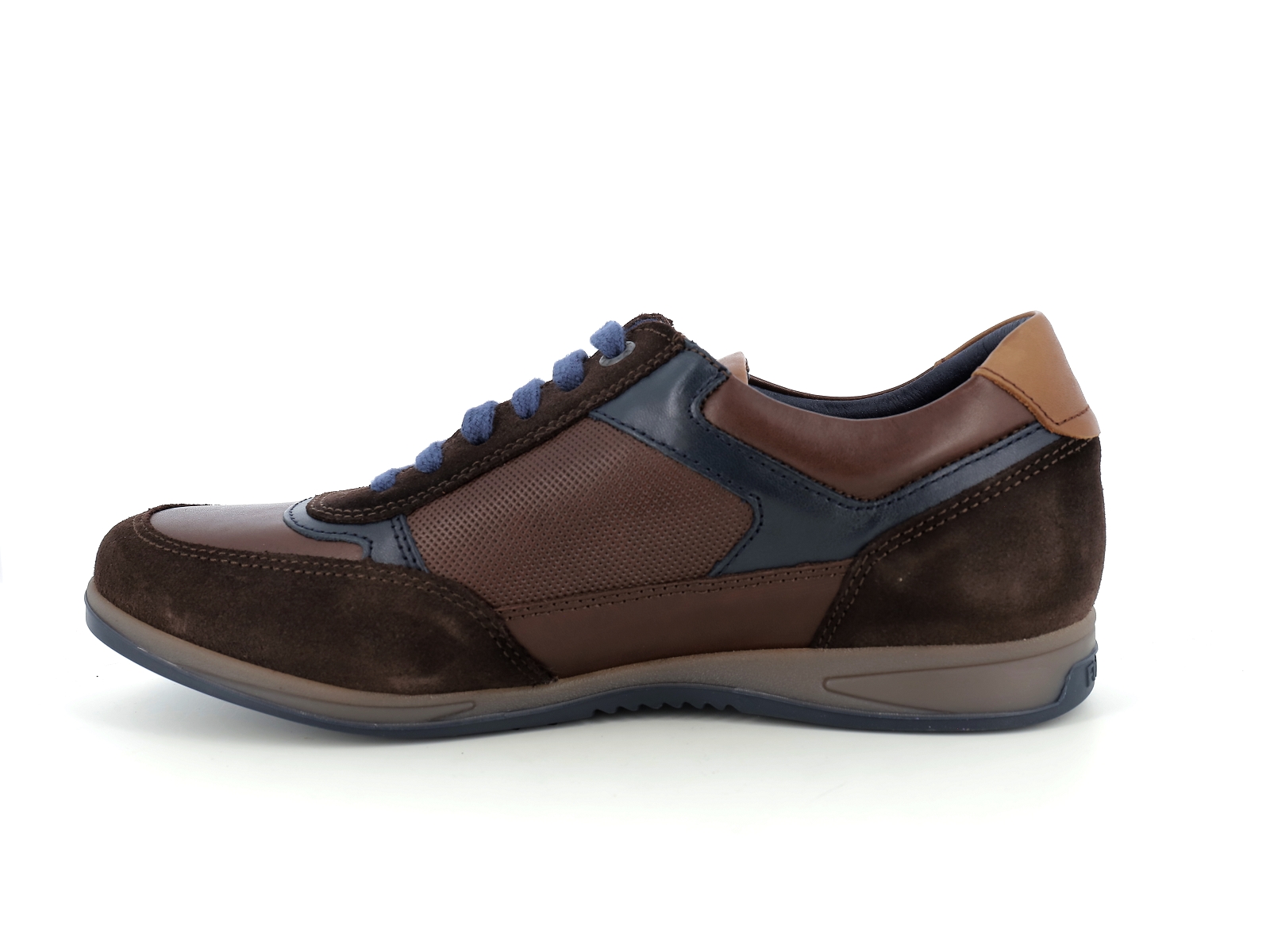 Fluchos-F1288 Cuir Marron Bleu