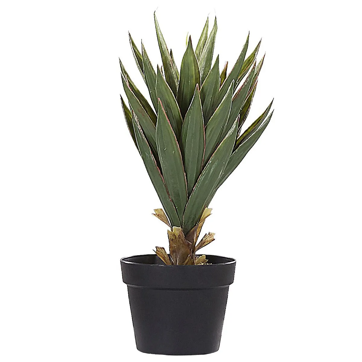 BELIANI YUCCA 52 cm - Vert
