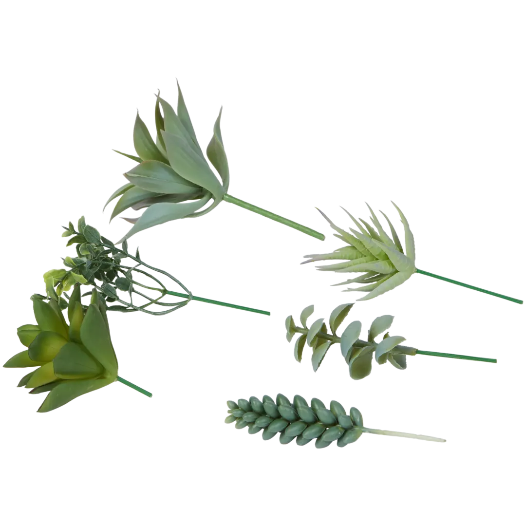 Plantes grasses artificielles