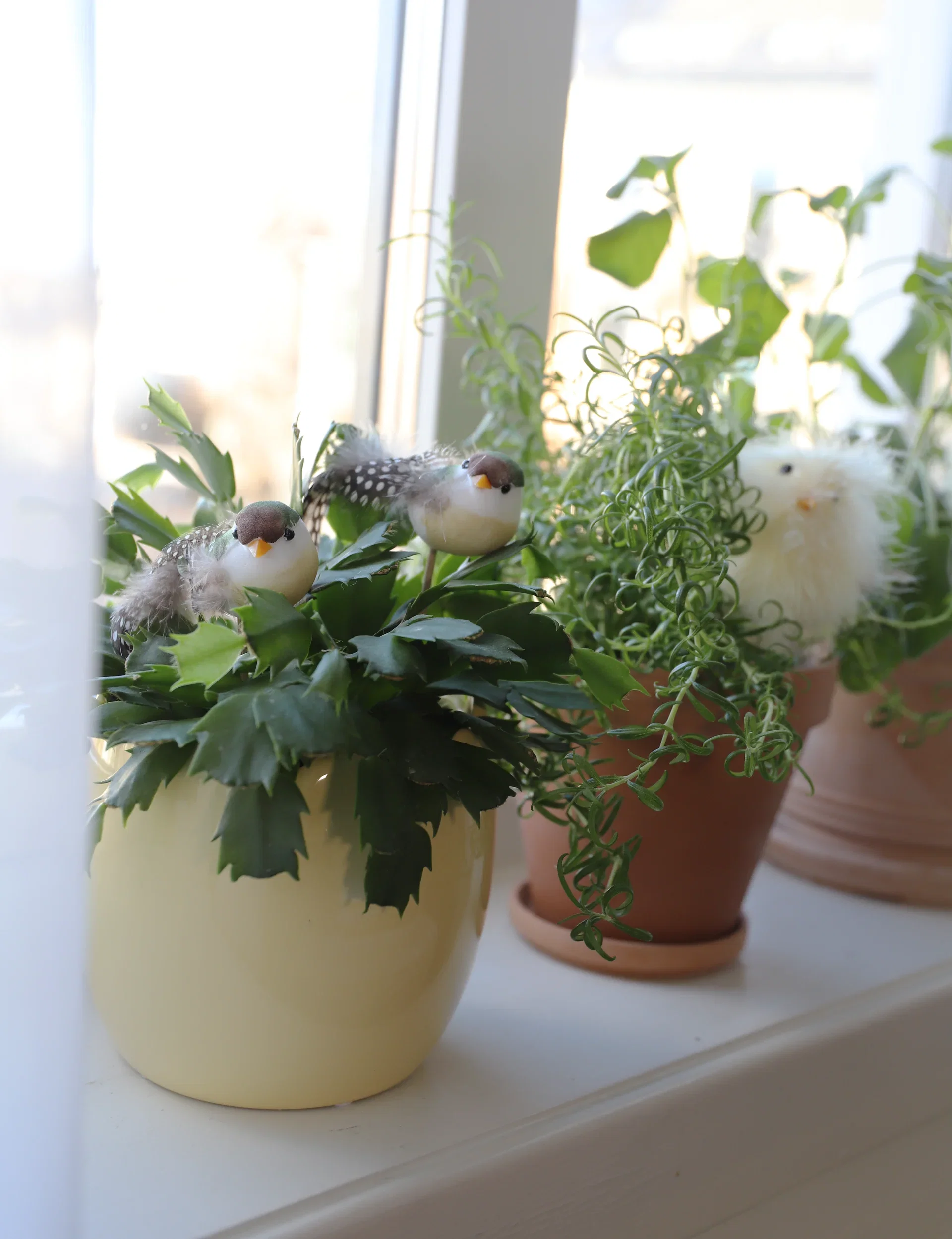 Blomsterpinne Taffy Høyde 20 cm