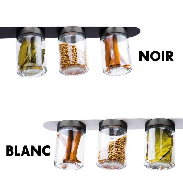 Lot de 3 bocaux de rangement 192 ml et socle magnétique SILWY