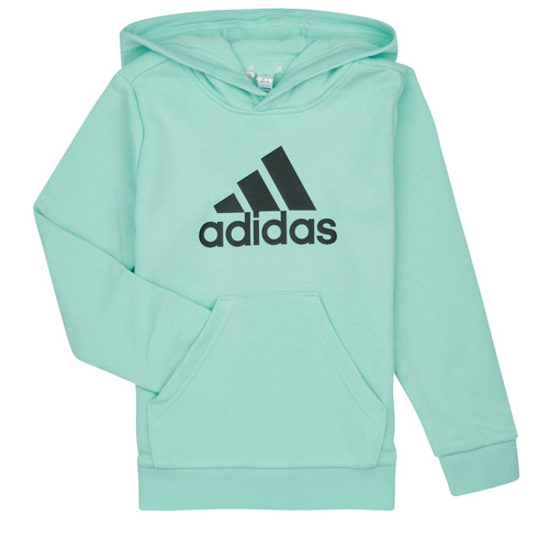 Adidas Sportswear - BL HOODIE - Vert / Noir
