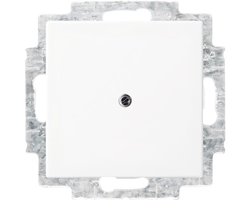 Busch-Jaeger 2538-914 Blinde middenschijf met steunring Balance SI alpinewit