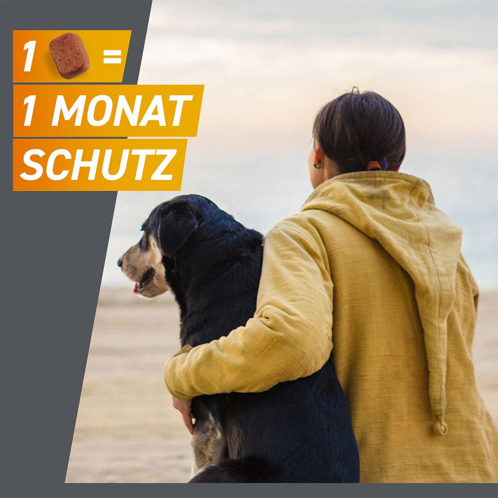 FRONTPRO® Kautablette gegen Zecken und Flöhe für Hunde (>10-25kg)
