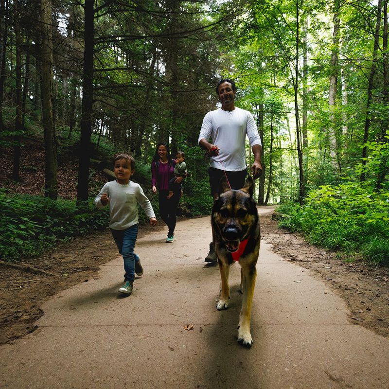 Harnais Ruffwear Front Range