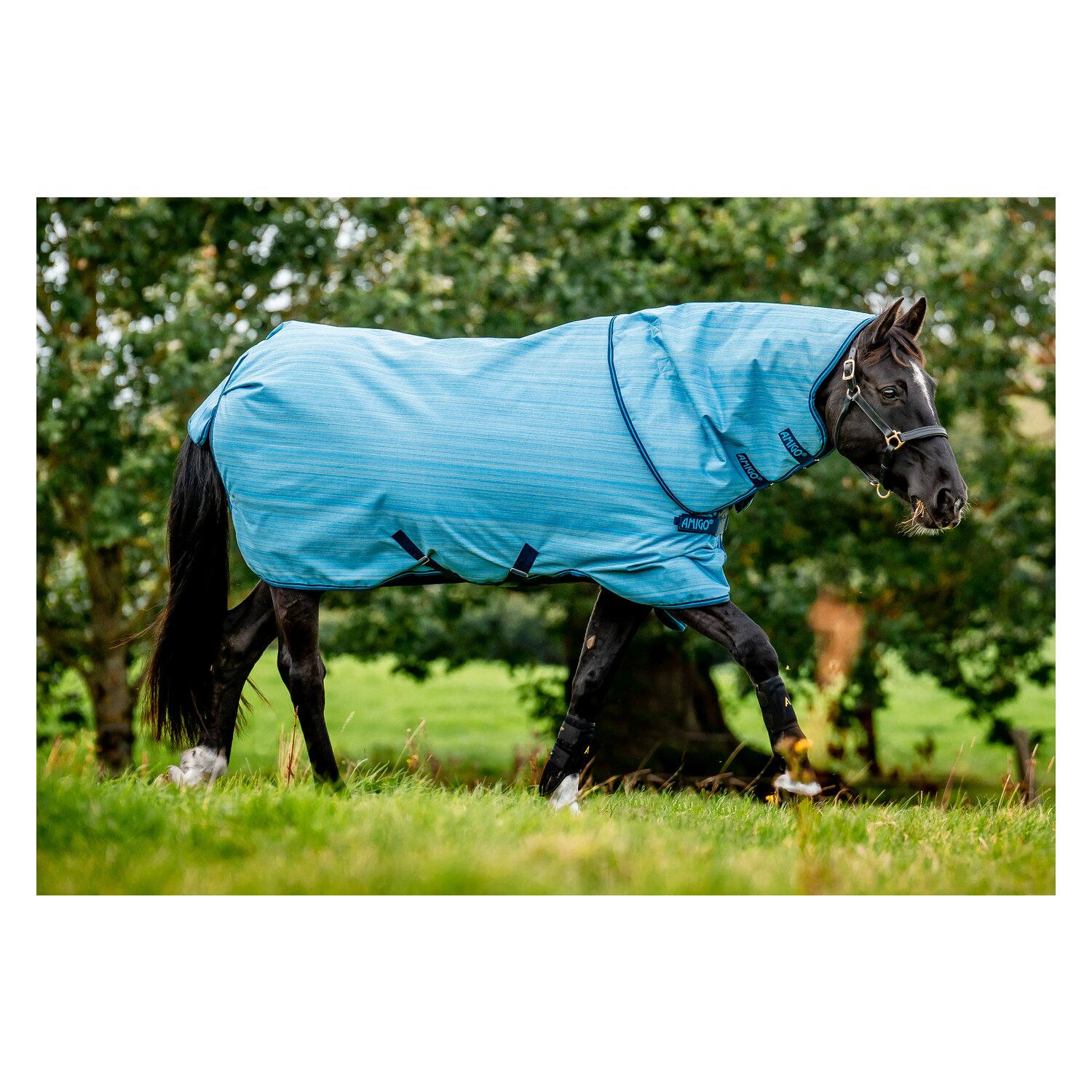 HORSEWARE Outdoordecke AMIGO Hero 900 Revieve plus 50 g - oceanblue