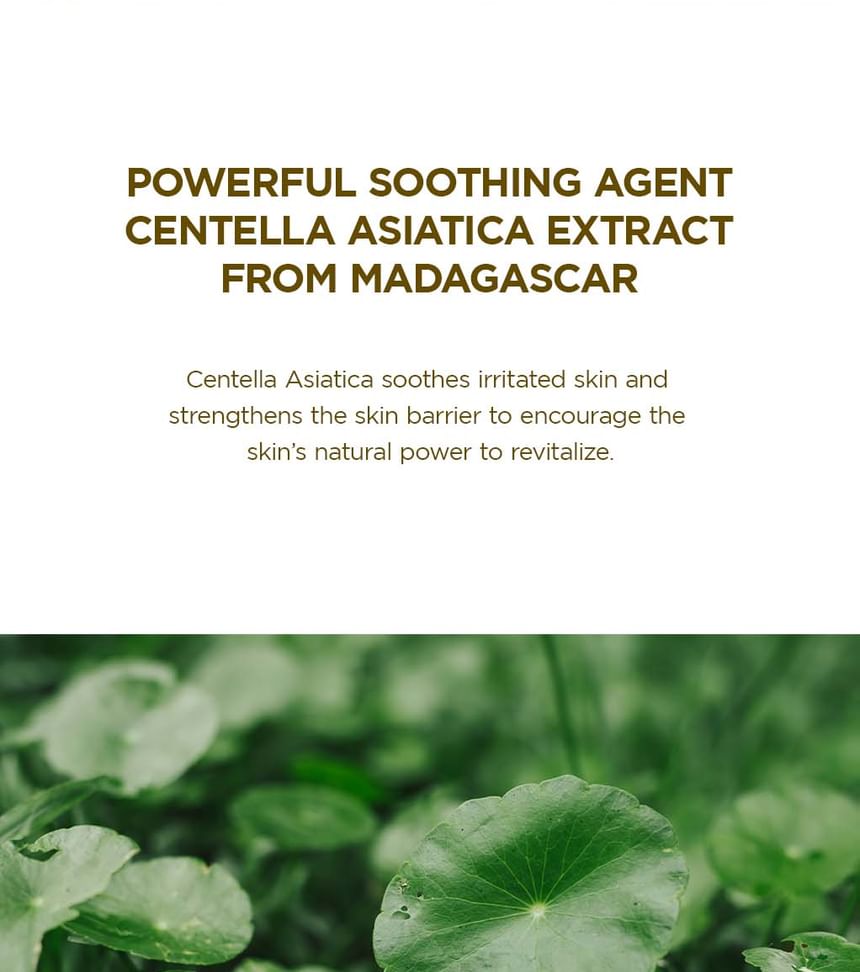 HUID 1004 - Madagascar Centella Asiatica 100 ampul