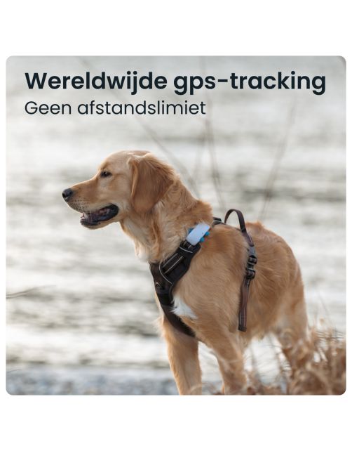 Tractive Gps Dog 4 Hondentracker En Activiteitenmonitor 17x71x28 mm - Hondenlocatievinder