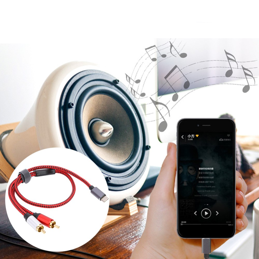 (1.5m) USB C auf Stereo Cinch Audiokabel mit vergoldeten Kontakten - Schwarz / Rot