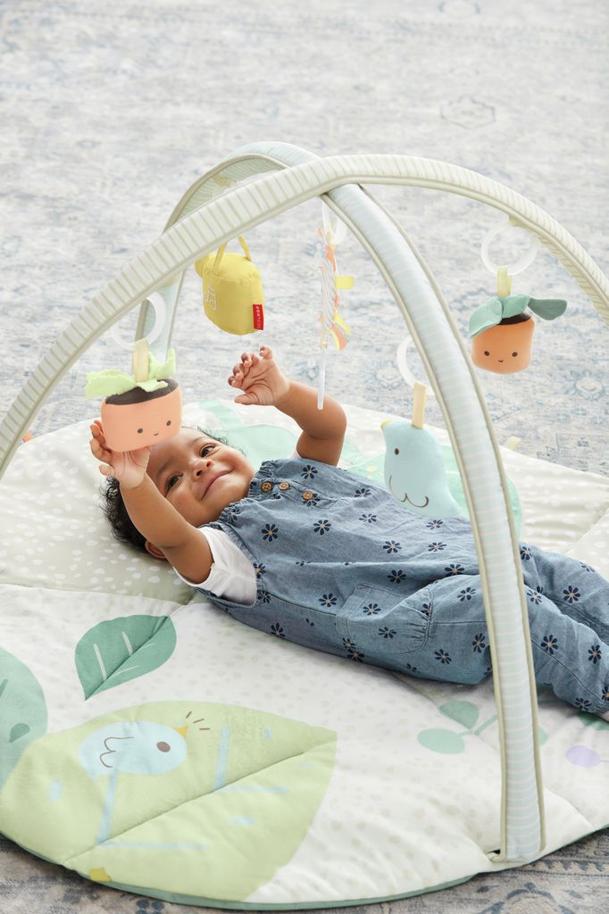Skip Hop Spielbogen Gartenoase