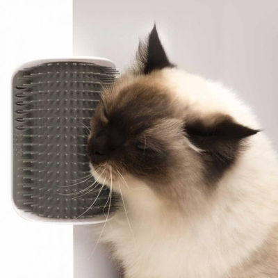 Catit Senses 2.0 Self Groomer Massage-Ecke mit Katzenminze