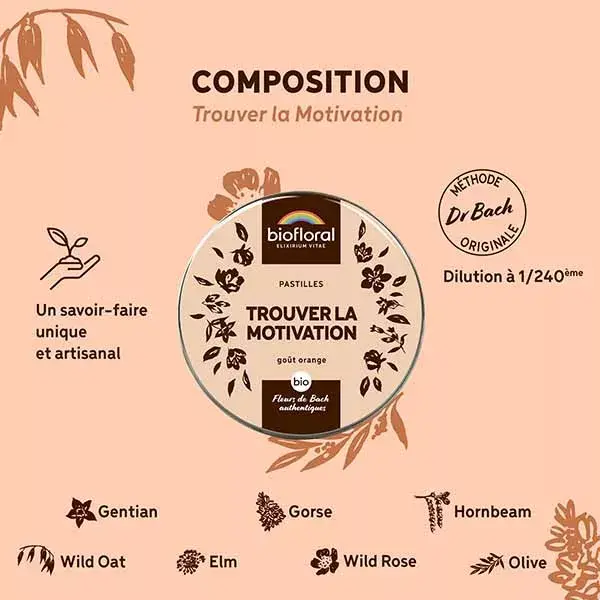 Pastilhas Biofloral Find Motivation Organic Emotion 50g