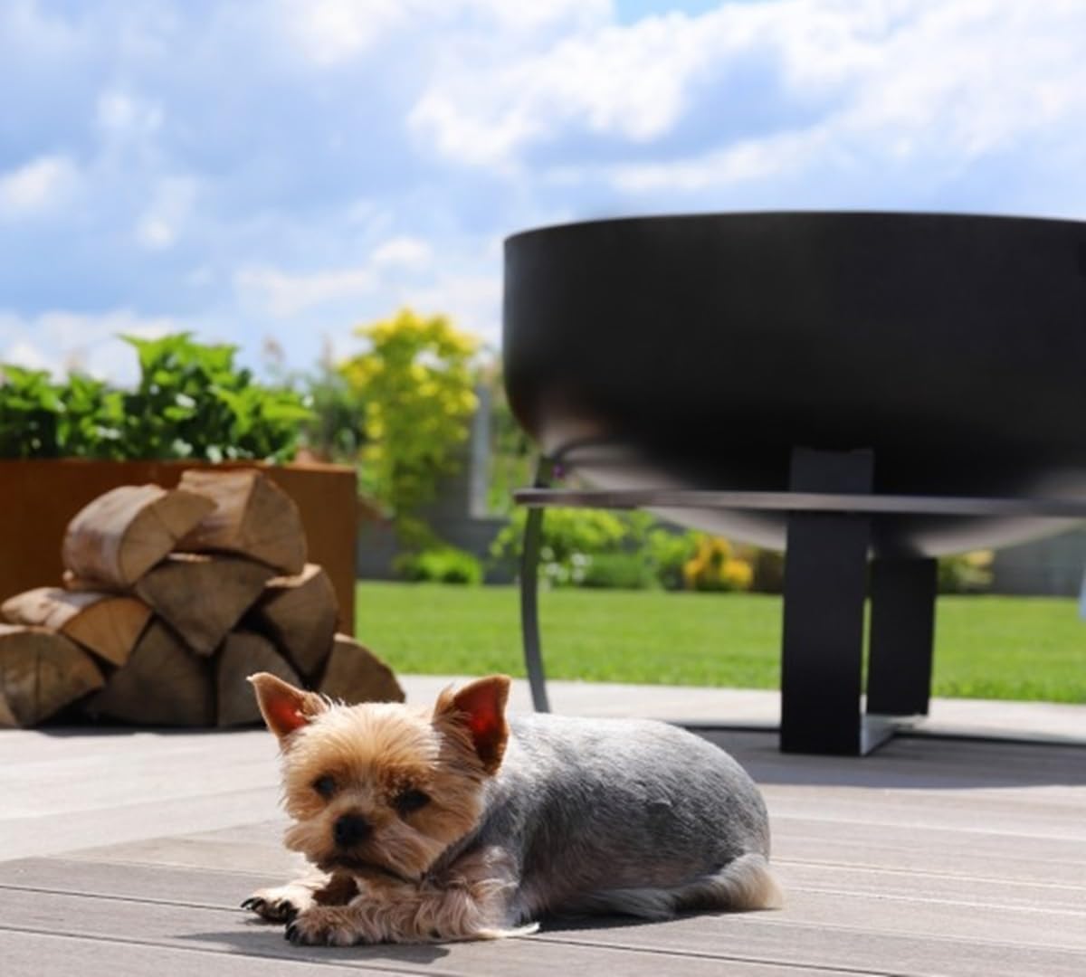 Feuerschale XXL Viking D 60 cmGrillschale Feuerstelle für Garten als Grill oder Wärmequelle Naturstahl CookKing