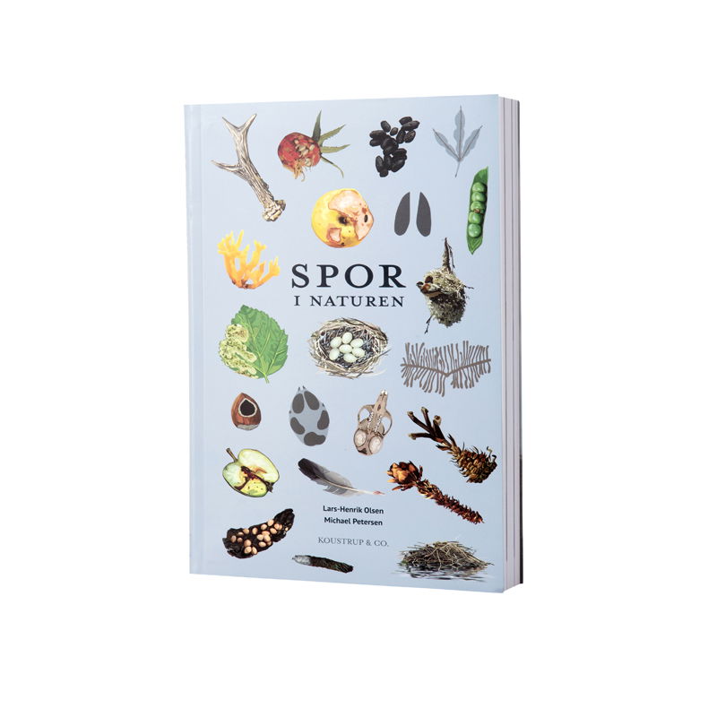 Spor I Naturen