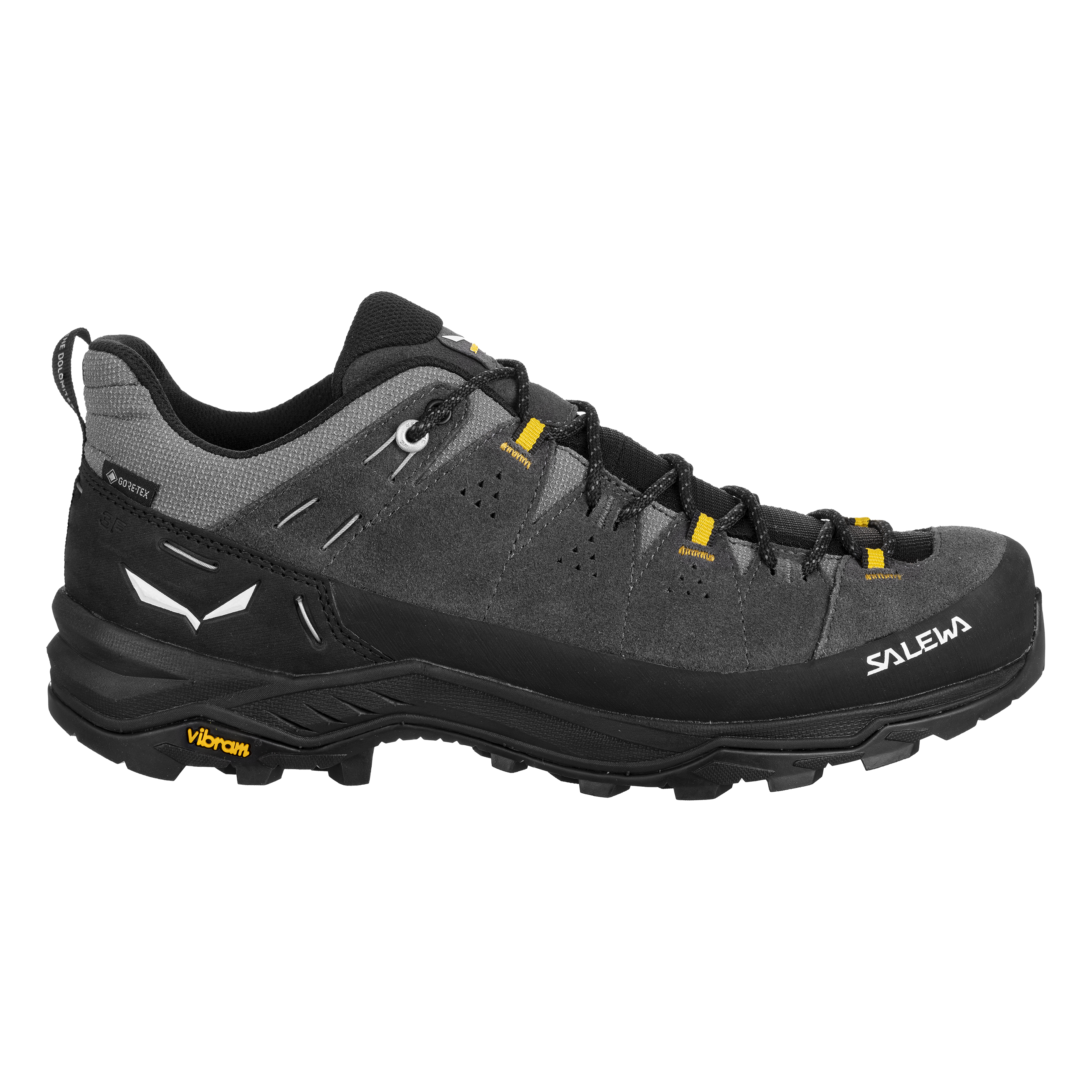 Alp Trainer 2 Gore-Tex® Schuh Herren